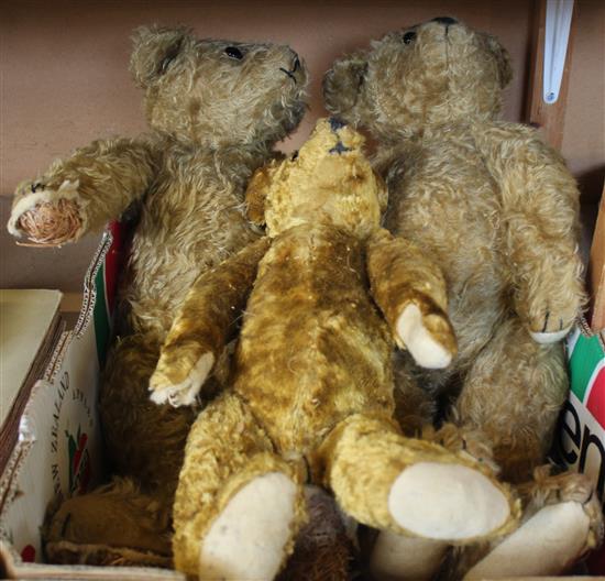 3 Antique plush teddy bears